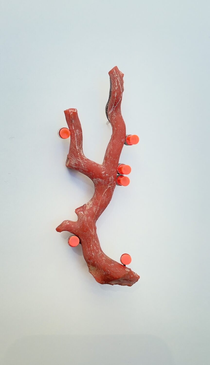 4_Bettina_Speckner_2025.jpg Uden titel – Broche, 2023 Koral, sølv og akryl 10 x 4 cm Fotograf - Jan Søndergaard