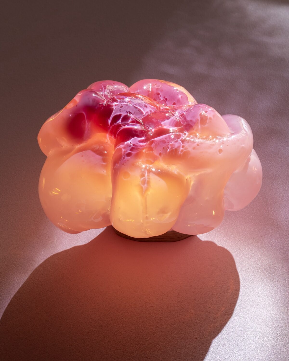 Hudsult. Laura Astrup Larsen. Officinet.