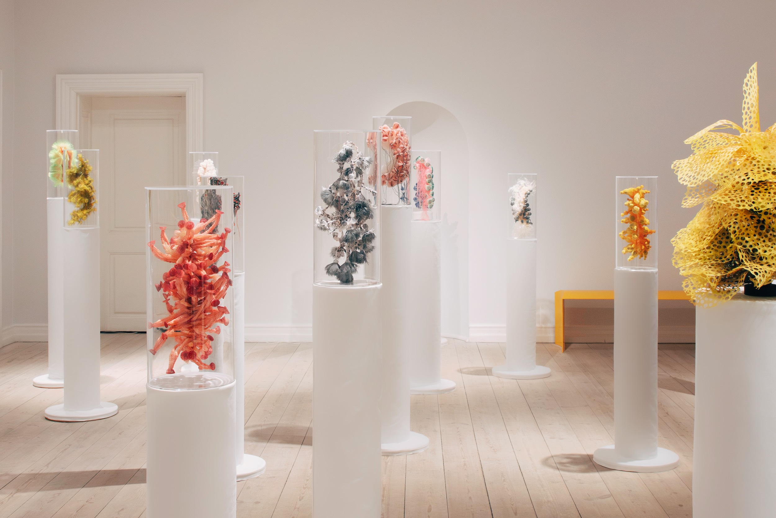 Fiberium i Officinet, 2026. Foto: Maya Matsuura