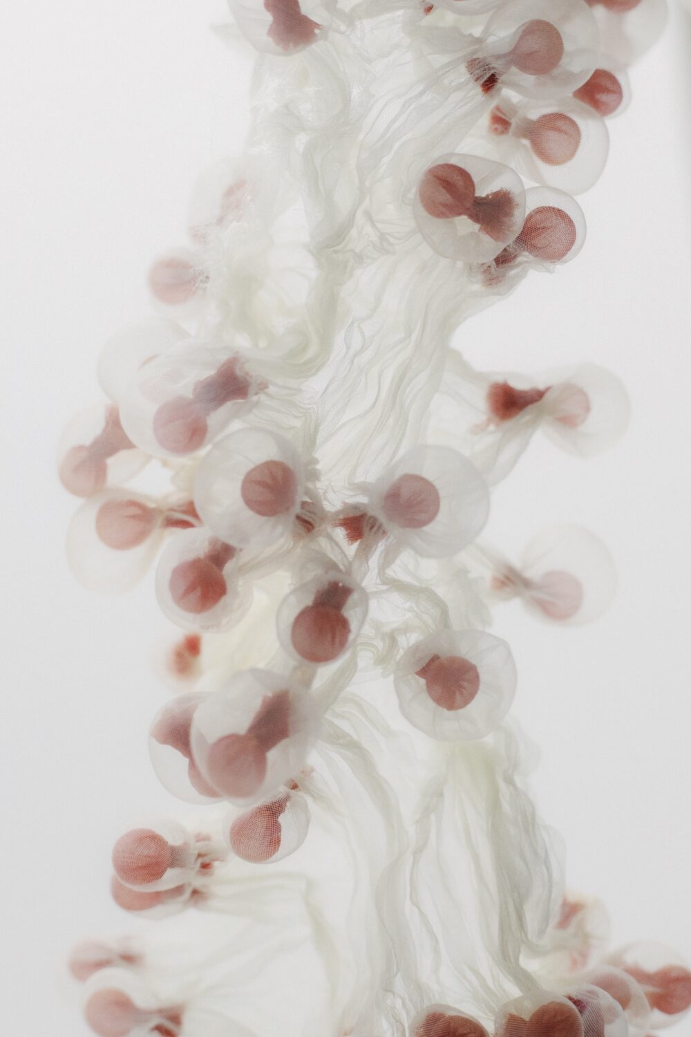 Lærke Lillelund. Fiberium. Officinet. Fotograf Maya Matsuura