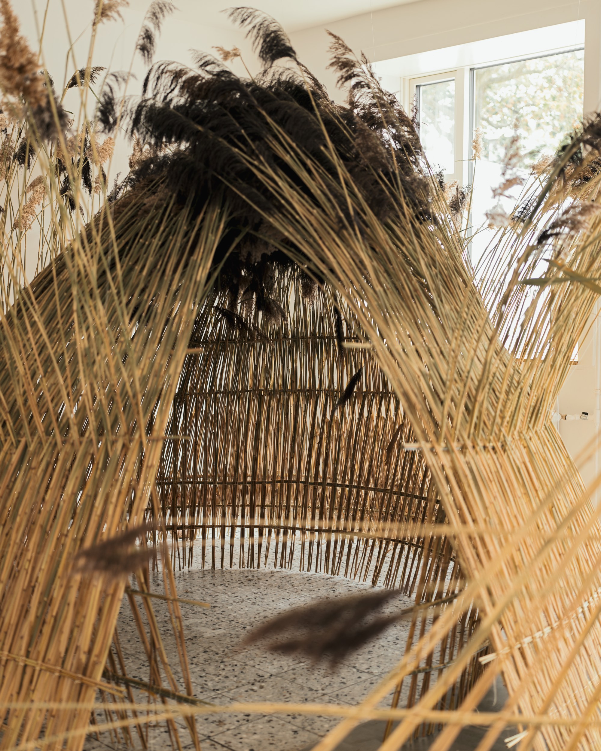 Into The Reeds - Ida Tinning - TIL:VÆRKS
