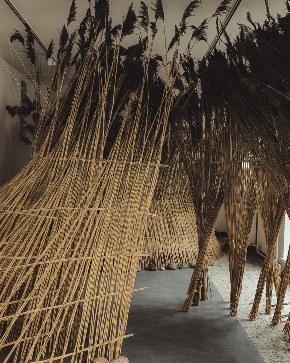 Into The Reeds - Ida Tinning - TIL:VÆRKS