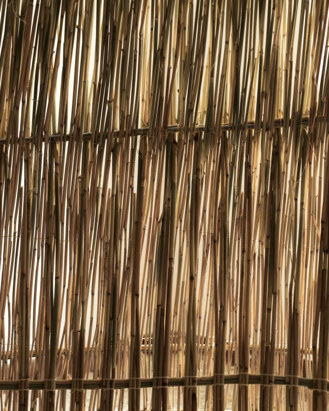 Into The Reeds - Ida Tinning - TIL:VÆRKS